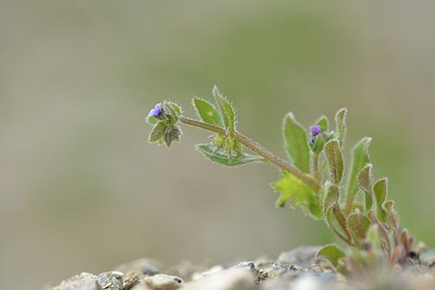 BUITEN BEELD Foto: 238342