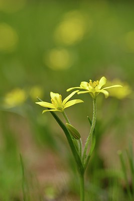 BUITEN BEELD Foto: 238373
