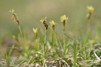 BUITEN BEELD Foto: 238407