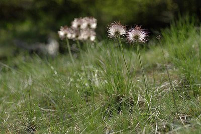 BUITEN BEELD Foto: 238410