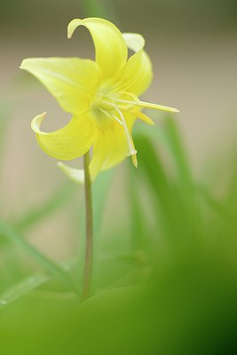 BUITEN BEELD Foto: 238453