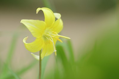 BUITEN BEELD Foto: 238454