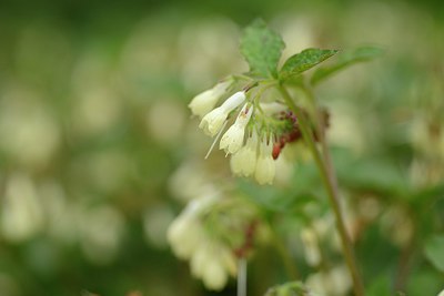 BUITEN BEELD Foto: 238457
