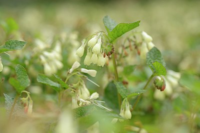 BUITEN BEELD Foto: 238458