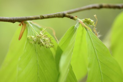 BUITEN BEELD Foto: 238474