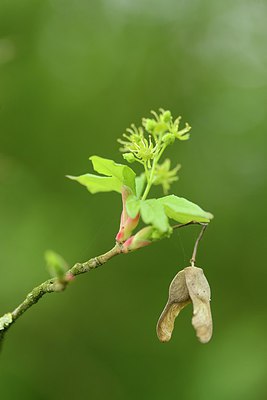 BUITEN BEELD Foto: 238487
