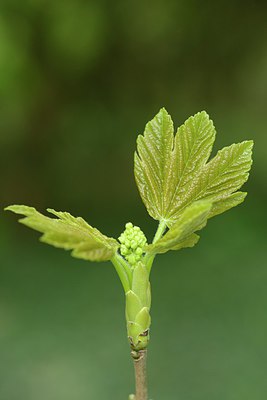 BUITEN BEELD Foto: 238502