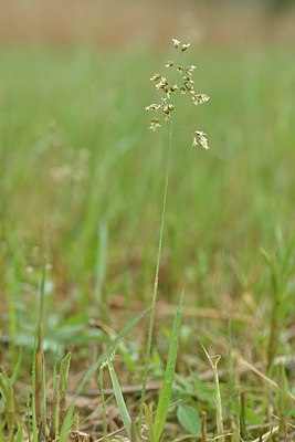 BUITEN BEELD Foto: 238554