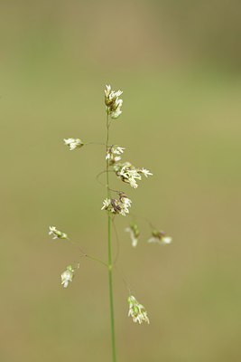 BUITEN BEELD Foto: 238560