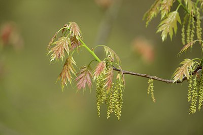 BUITEN BEELD Foto: 238562