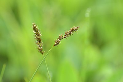 BUITEN BEELD Foto: 238585