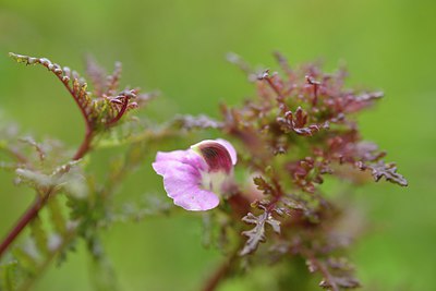 BUITEN BEELD Foto: 238588