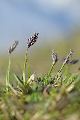 BUITEN BEELD Foto: 238603
