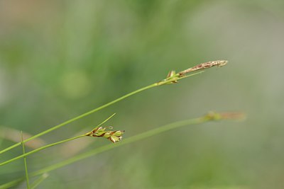 BUITEN BEELD Foto: 238625