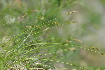 BUITEN BEELD Foto: 238626