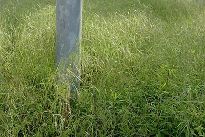 BUITEN BEELD Foto: 238646