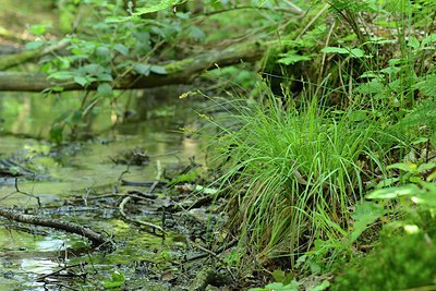 BUITEN BEELD Foto: 238648