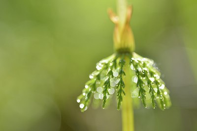 BUITEN BEELD Foto: 238657
