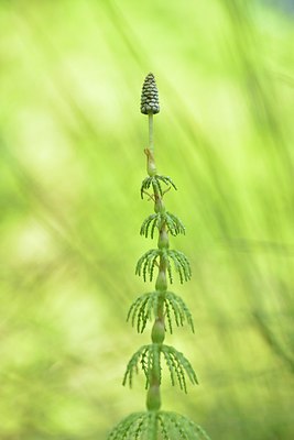 BUITEN BEELD Foto: 238659