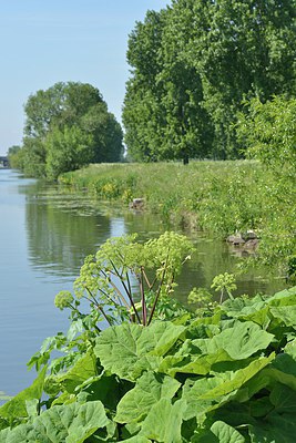 BUITEN BEELD Foto: 238665