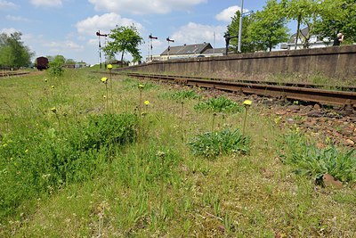 BUITEN BEELD Foto: 238681