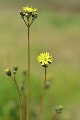 BUITEN BEELD Foto: 238682