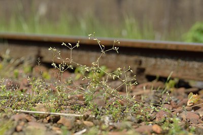 BUITEN BEELD Foto: 238686