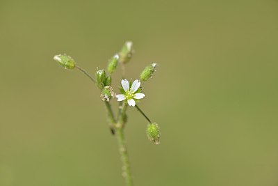 BUITEN BEELD Foto: 238720