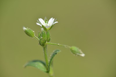 BUITEN BEELD Foto: 238721