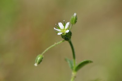 BUITEN BEELD Foto: 238726