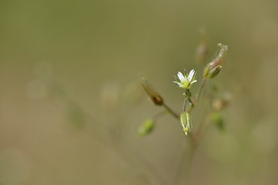 BUITEN BEELD Foto: 238727