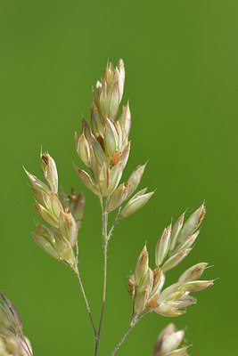 BUITEN BEELD Foto: 238729