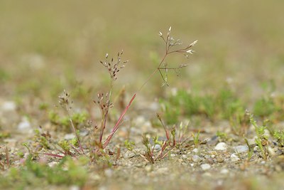BUITEN BEELD Foto: 238739