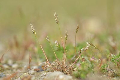 BUITEN BEELD Foto: 238750