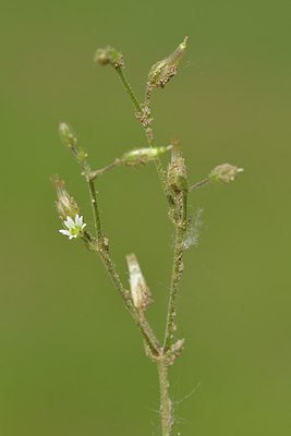 BUITEN BEELD Foto: 238756