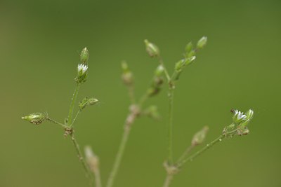 BUITEN BEELD Foto: 238757