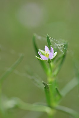 BUITEN BEELD Foto: 238760