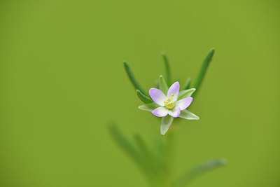 BUITEN BEELD Foto: 238761