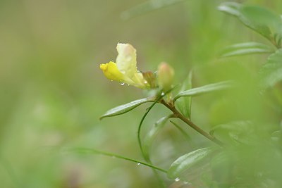 BUITEN BEELD Foto: 238775