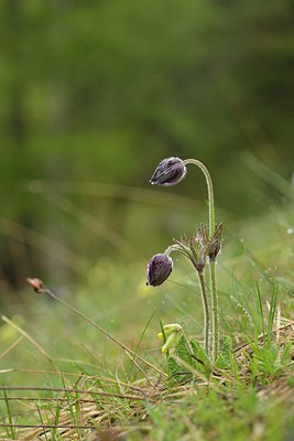 BUITEN BEELD Foto: 238779