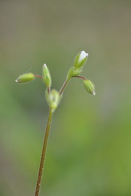 BUITEN BEELD Foto: 238794