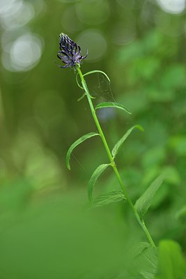 BUITEN BEELD Foto: 238803