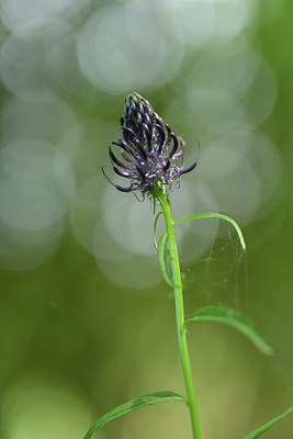BUITEN BEELD Foto: 238804