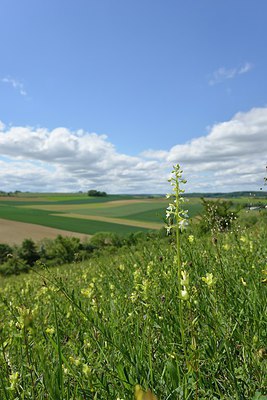 BUITEN BEELD Foto: 238815