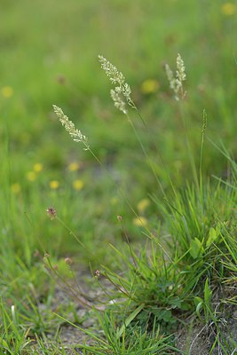 BUITEN BEELD Foto: 238890