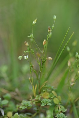 BUITEN BEELD Foto: 238891