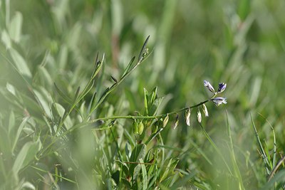 BUITEN BEELD Foto: 238991