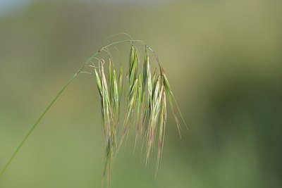 BUITEN BEELD Foto: 238999