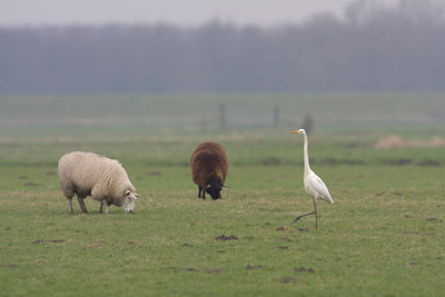 BUITEN BEELD Foto: 23057