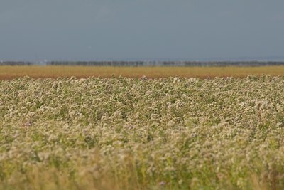 BUITEN BEELD Foto: 23061